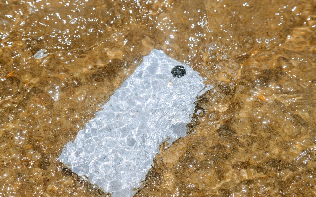 5 Proven Ways To Prevent A Phone From Water Damage